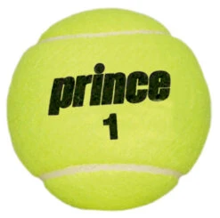Prince Championship Tennis Balls Dozen -Tennis Gear Shop prince championship tennis balls dozen ball 49958 29195.1698770640